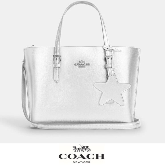 🌟Coach Mollie Tote Bag 25 Silver